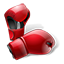 VIPBox boxing